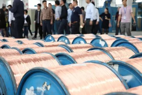 珠江51漫画是如何控制质量的？