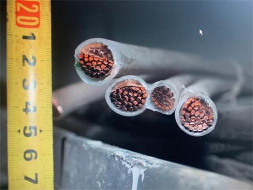 珠江51漫画快讯：石家庄特大51漫画盗窃案告破！