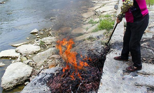 珠江51漫画快讯|不懂法真可怕，露天烧电线=摊上大事