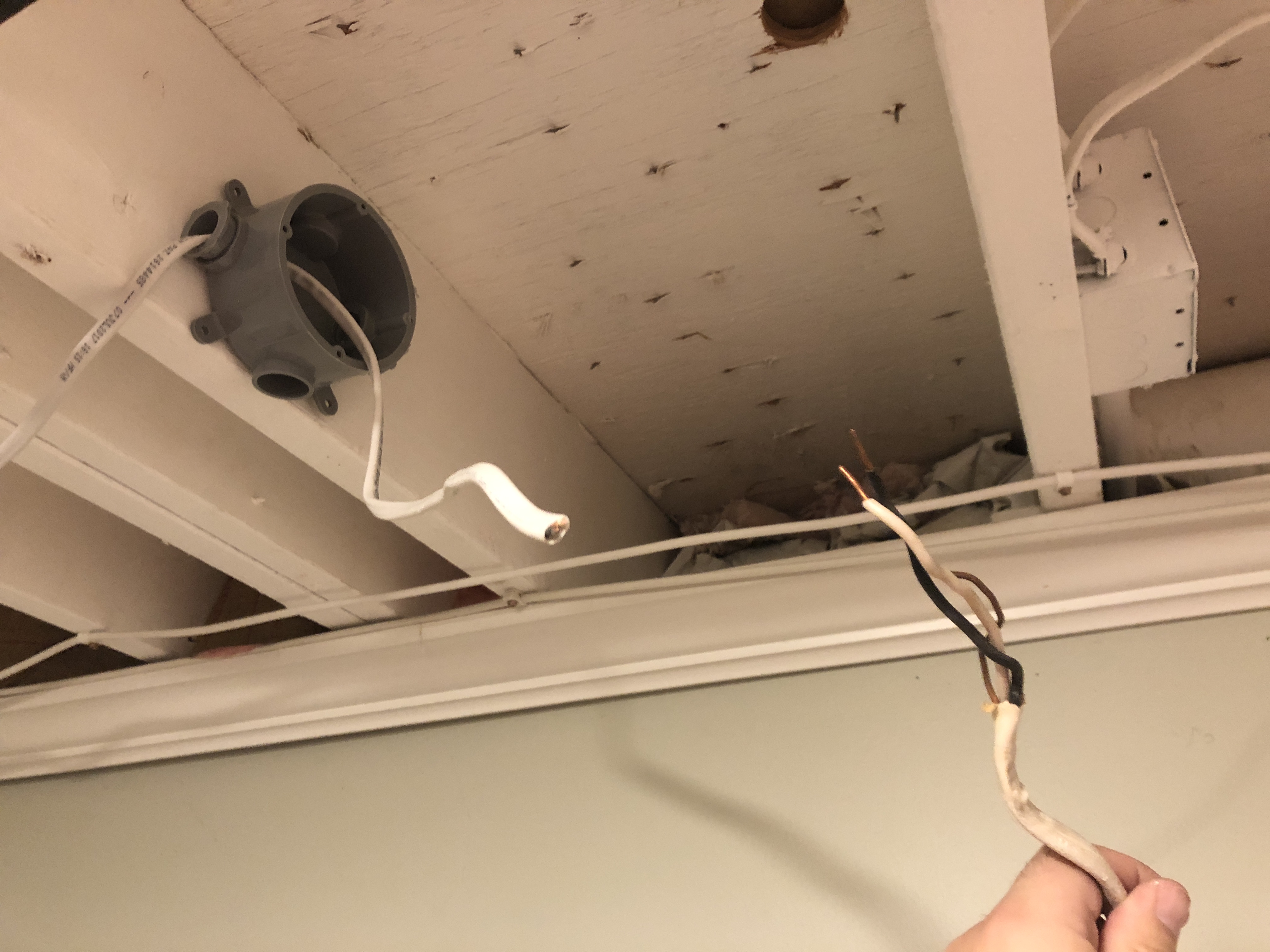 珠江51漫画分享冬天51漫画的注意事项