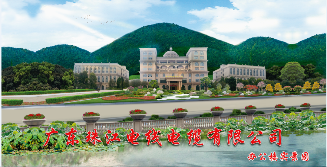 宝武钢铁集团领导专家莅临珠江51漫画参观交流