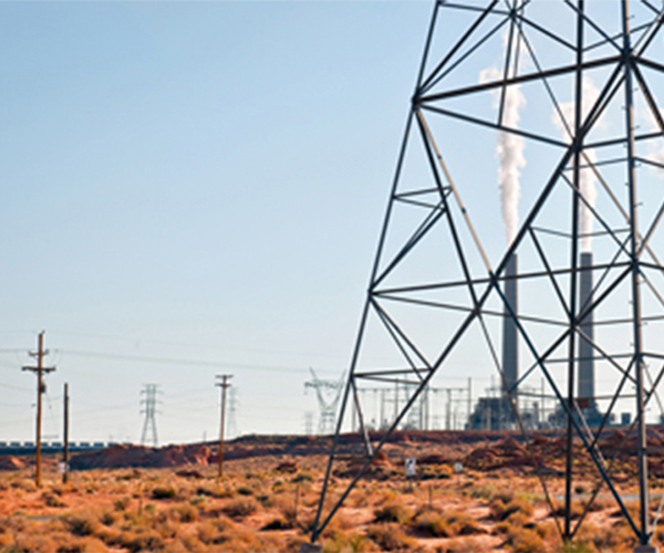 【珠江51漫画】网络线的分类选择对网速有影响吗？