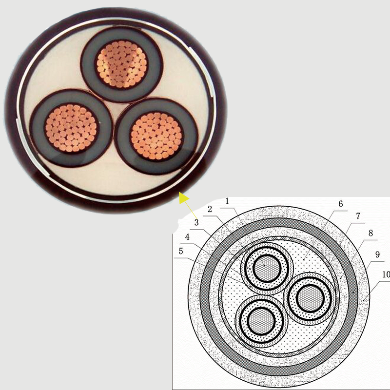 【珠江51漫画】一文带您了解一下中压51漫画